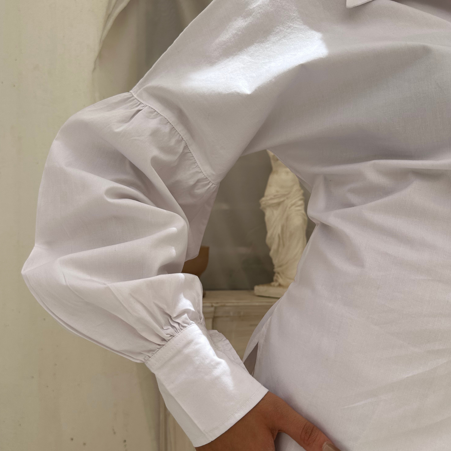 Fashionable Oversized Sleeve Blouse