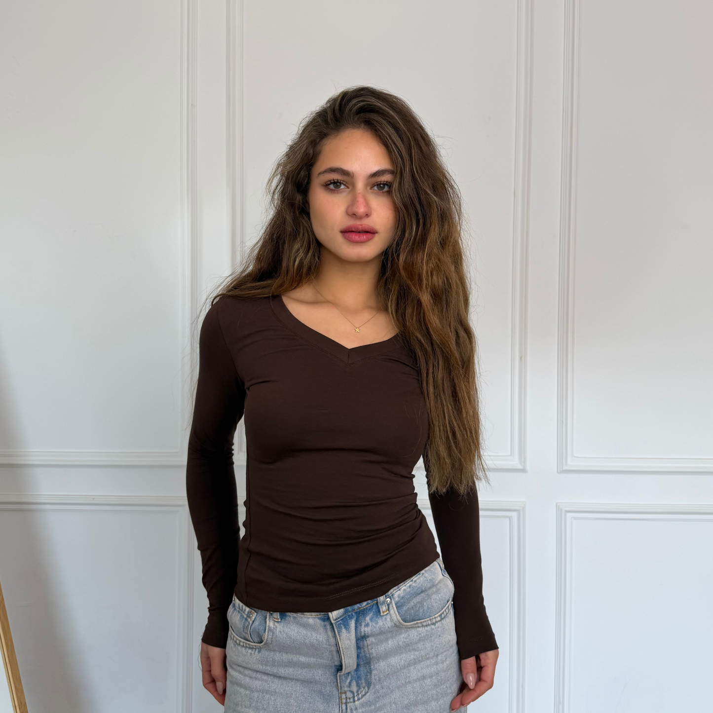 Brown V-Neck Long sleeves top