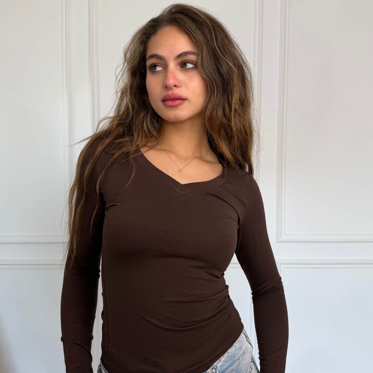 Brown V-Neck Long sleeves top