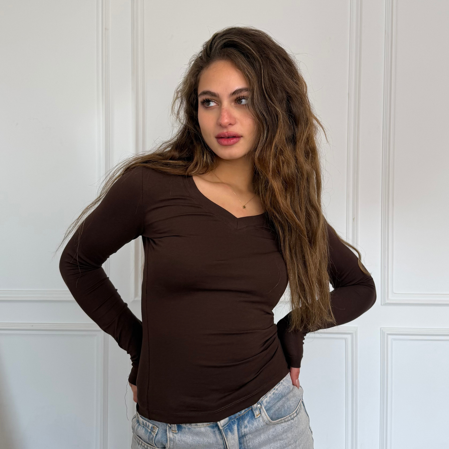 Brown V-Neck Long sleeves top