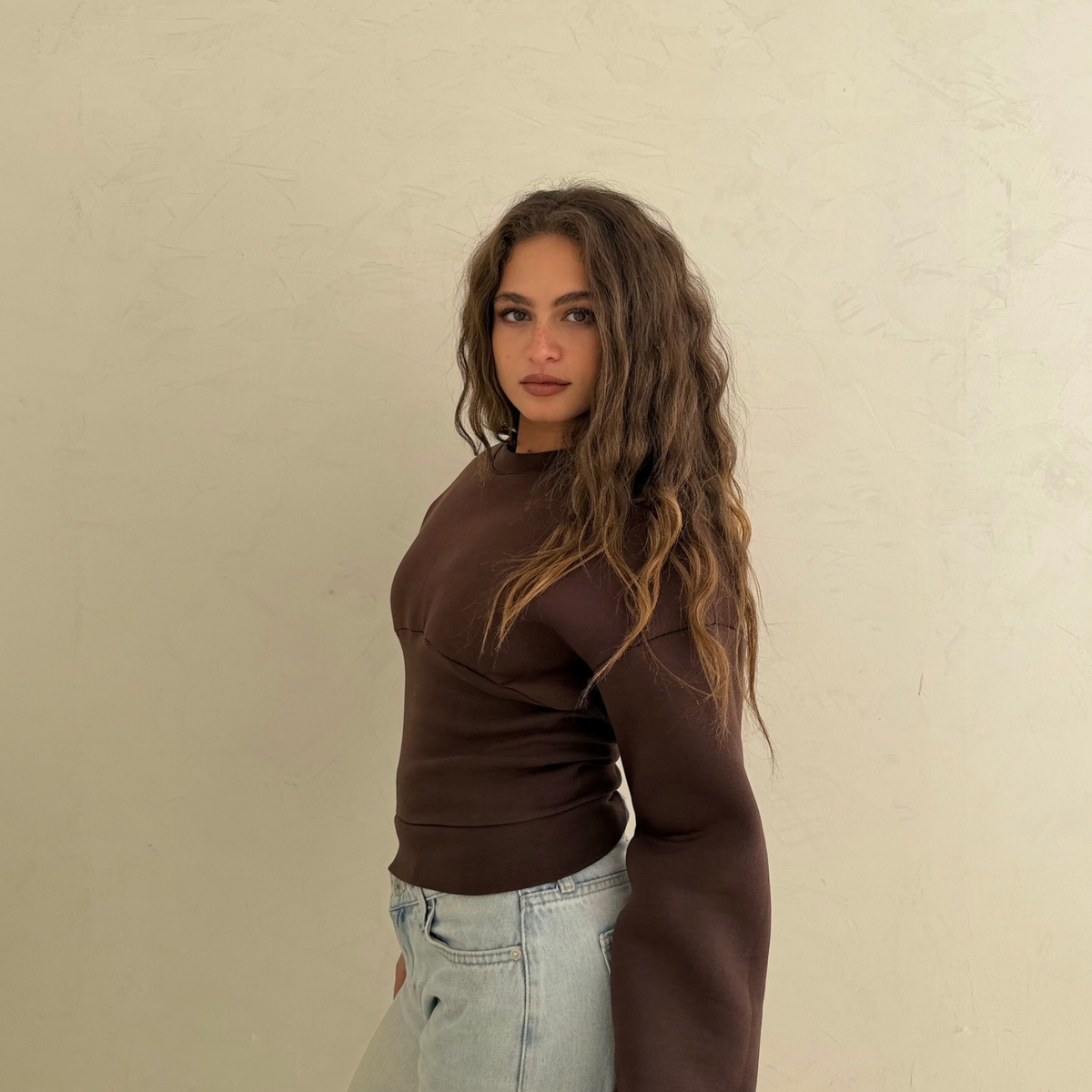 Brown Corset Sweatshirt